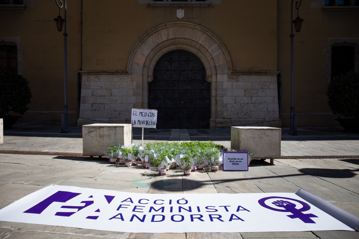 Les plantes de ruda s'han deixat davant el palau episcopal.