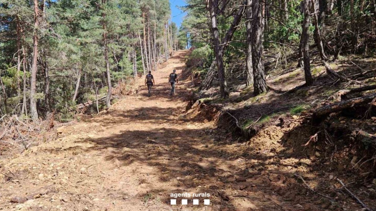 Imatge de la via oberta enmig del bosc sense autorització.