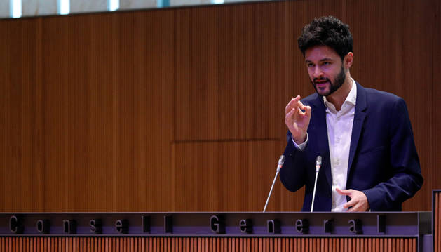 Un moment del parlament de Cerni Escalé al Consell General.