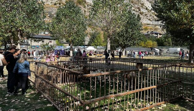 Fira del bestiar i artesania de Canillo